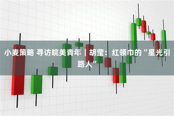 小麦策略 寻访皖美青年｜胡莹：红领巾的“星光引路人”